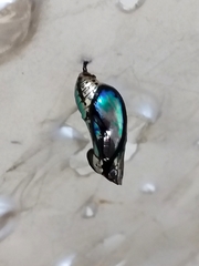 Mechanitis polymnia casabranca