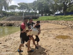 Pangasius sanitwongsei