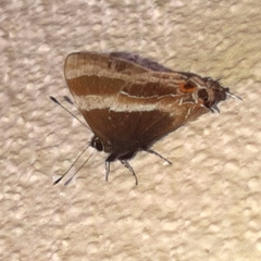 Arzecla tarpa