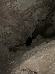 Brackenridgia sphinxensis