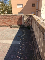 Polypodium cambricum