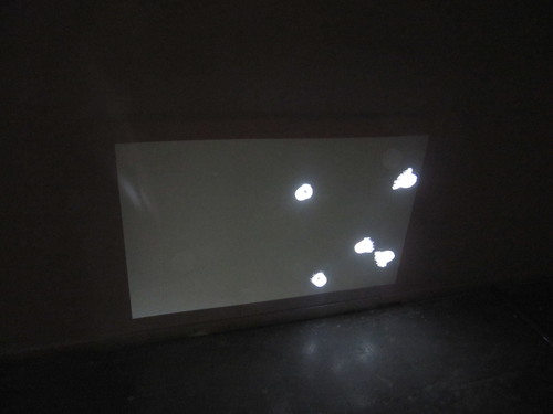 Medusa inmortal