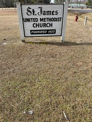 Chevreulia acuminata