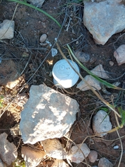 Sphincterochila
