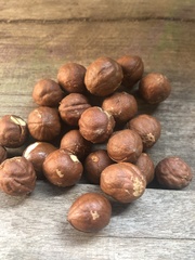 Priogymnanthus apertus