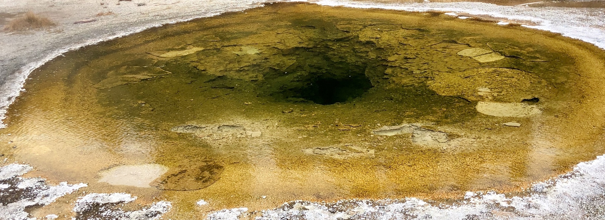 Imagem de Arqueia