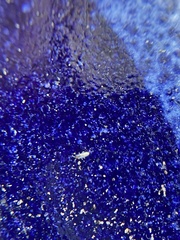 Lepidocyrtus paradoxus