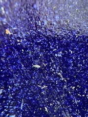 Lepidocyrtus paradoxus