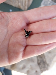 Pseudothyris sepulchralis