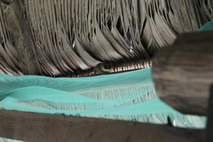 Marmosops noctivagus