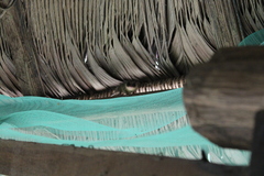 Marmosops noctivagus