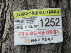 Bursaphelenchus xylophilus