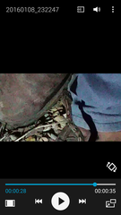 Trimorphodon quadruplex