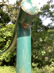 Anyphaenidae