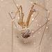 Cellar Spiders - Photo (c) Tony Iwane, some rights reserved (CC BY-NC), uploaded by Tony Iwane