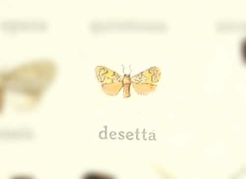 Barsinella desetta
