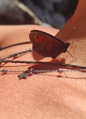 Erebia montanus