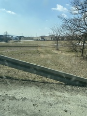 Crocus heuffelianus scepusiensis