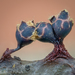 Trichia botrytis - Photo (c) Alison Pollack, algunos derechos reservados (CC BY-NC), subido por Alison Pollack