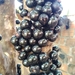 Jaboticaba - Photo (c) Anderson Mesa C, some rights reserved (CC BY-NC), uploaded by Anderson Mesa C