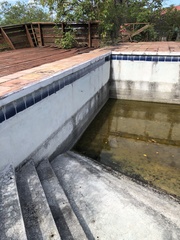 Orthemis macrostigma