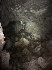 Rulyrana flavopunctata