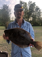 Paralichthys lethostigma