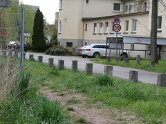 Phoenicurus ochruros