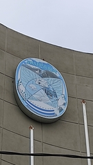 Hirundinea ferruginea