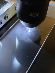 Heimiomyces fulvipes