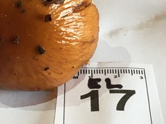 Cortinarius perfoetens