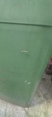 Amblyptilia acanthadactyla