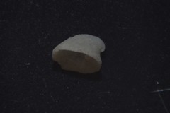 Emarginula rosea