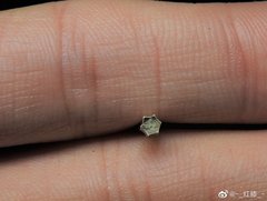 Dentalium octangulatum