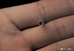 Dentalium obtusum