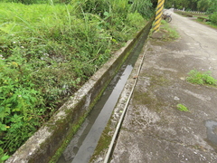 Nymphoides hydrophylla