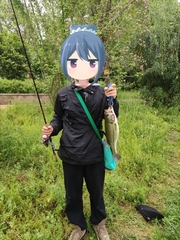 Micropterus salmoides