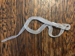 Aprasia striolata
