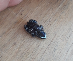 Chiasmocleis albopunctata