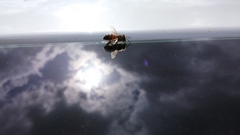 Apis mellifera