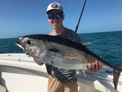 Thunnus atlanticus