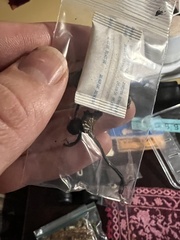 Arrhenia chlorocyanea