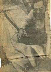 Lissodelphis peronii