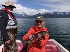 Catostomus macrocheilus