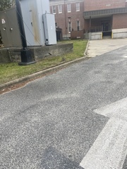 Sciurus carolinensis