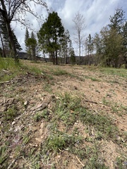 Lepidium virginicum virginicum