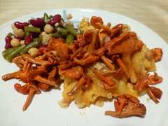 Cantharellus texensis