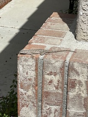 Sceloporus occidentalis