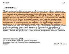 Retroviridae