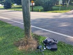 Crepidotus subfulviceps